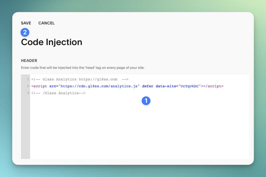 Paste your UserBird Tracking code and press 